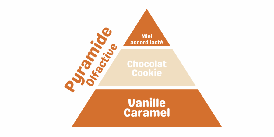 Latada pyramide olfactive cookie au chocolat