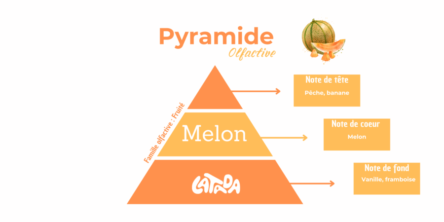 latada bougies pyramide olfactive melon
