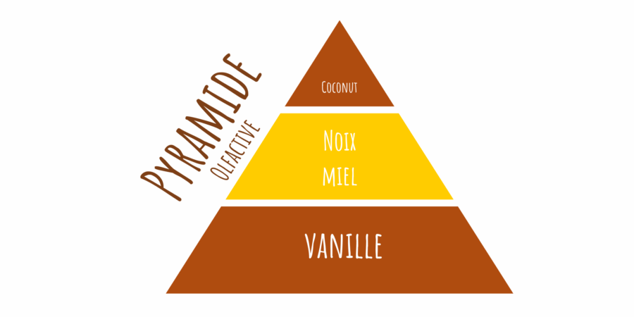 latada pyramide olfactive noix et miel