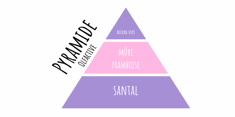 latada pyramide olfactive mûre sauvage