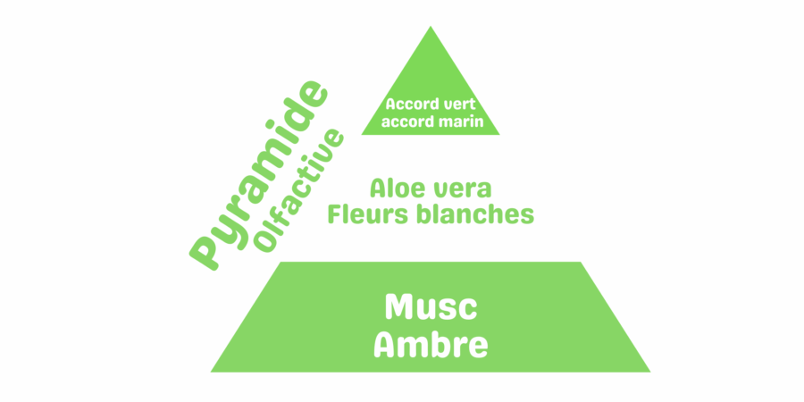 latada pyramide olfactive aloe vera