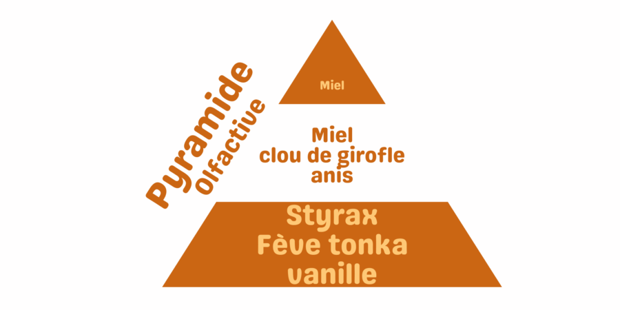 pyramide olfactive miel