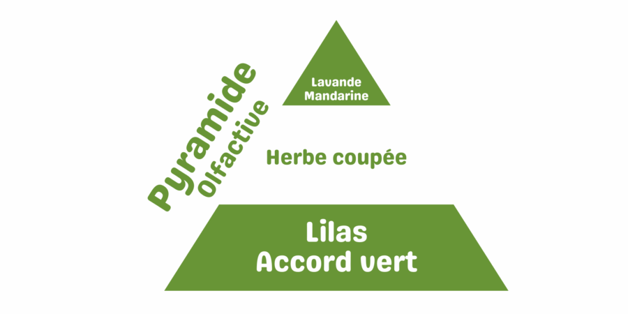 pyramide brise du matin