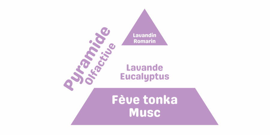 pyramide lavande