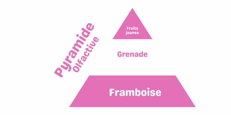 pyramide olfactive fondant parfumé grenade