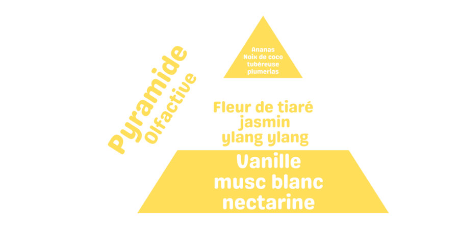 pyramide olfactive fondant parfumé liquide soleil d'azur monoï